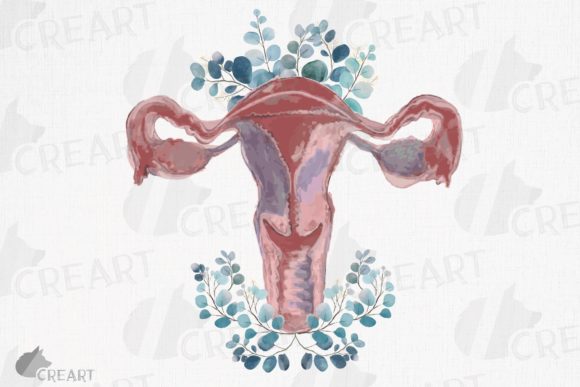 Watercolor Blush and Eucalyptus Uterus: Graphics for Creative Marketing