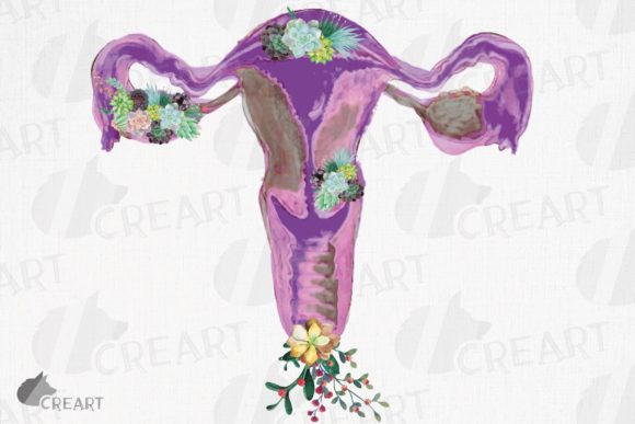 Watercolour Floral Succulent Vagina Png: Graphics and Print Templates